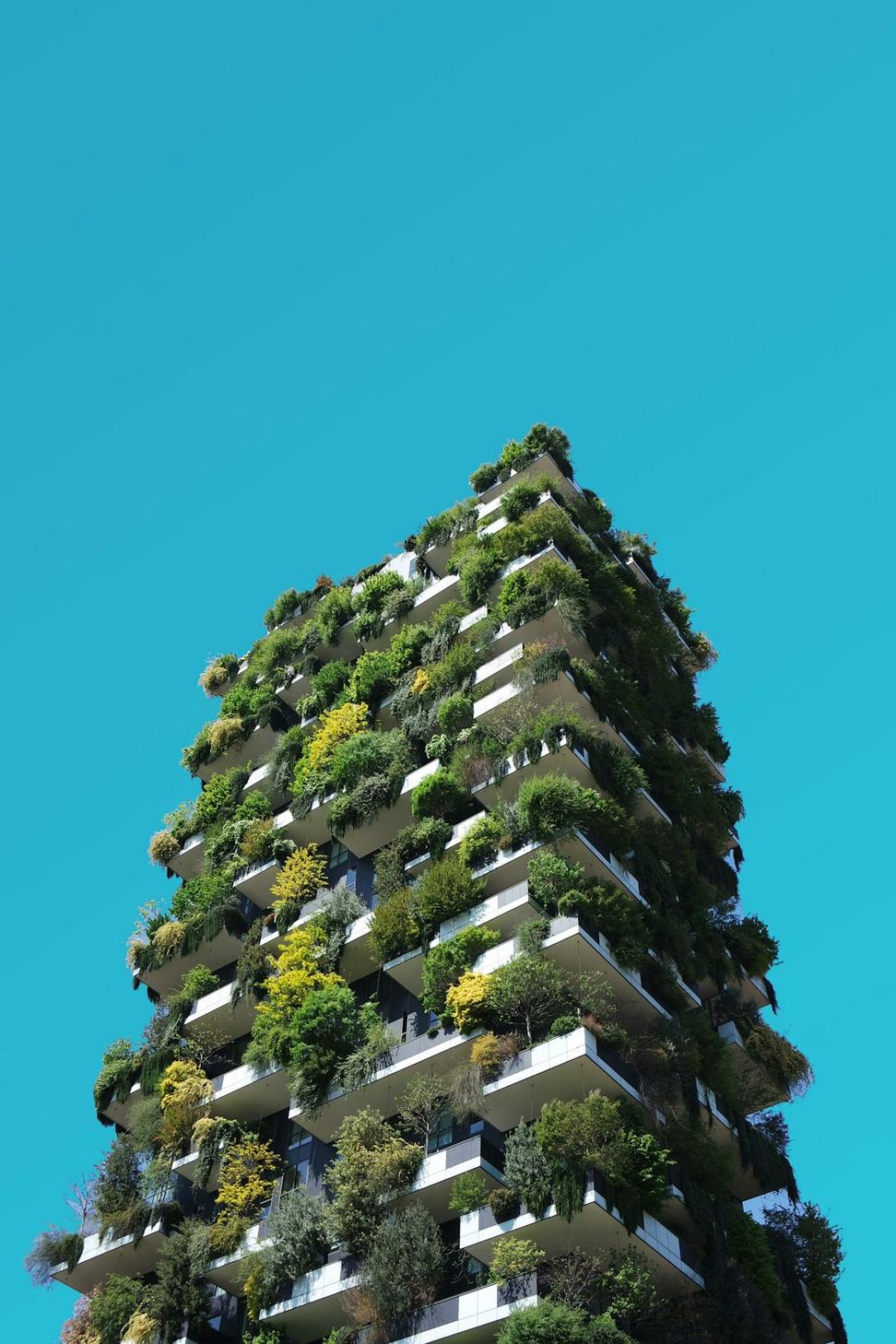 Sustainable architecture