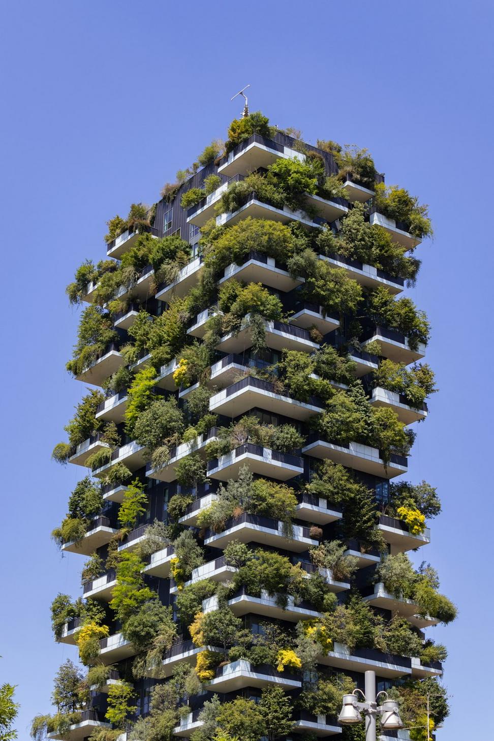Leslieville Eco Home